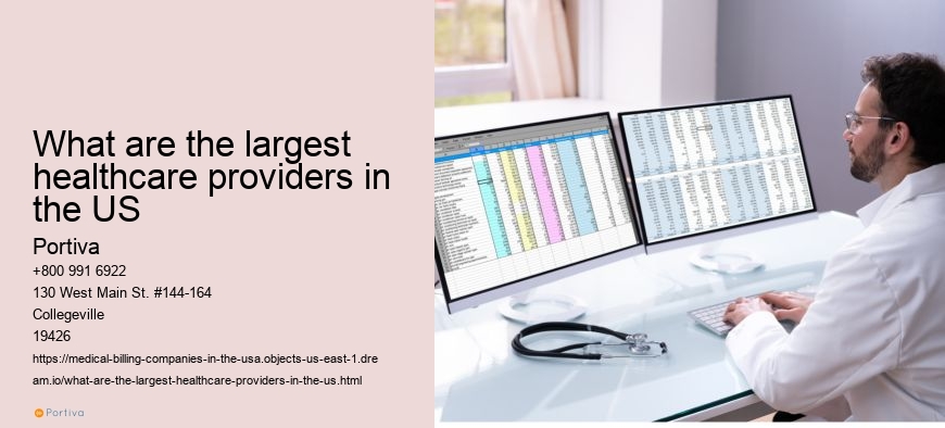 What are the largest healthcare providers in the US